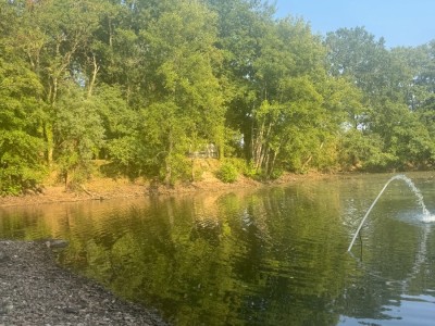 ETANG A VENDRE - LAIZY - 8200 m2 - 60000€