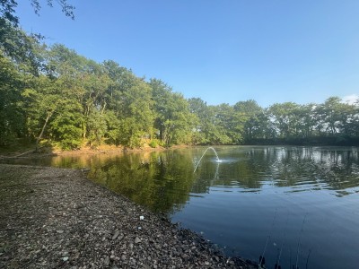 ÉTANG A VENDRE - LAIZY - 60 000 €