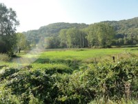TERRAIN A VENDRE - ST SERNIN DU BOIS - 6317 m2 - 30 000 &euro;